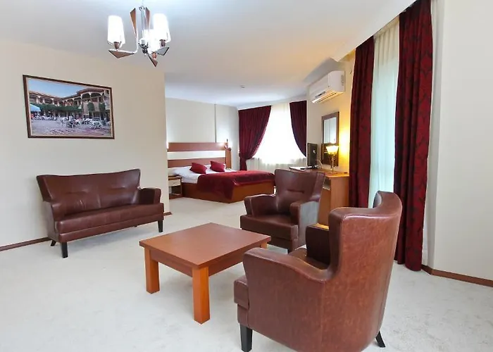 Petek 호텔 무글라